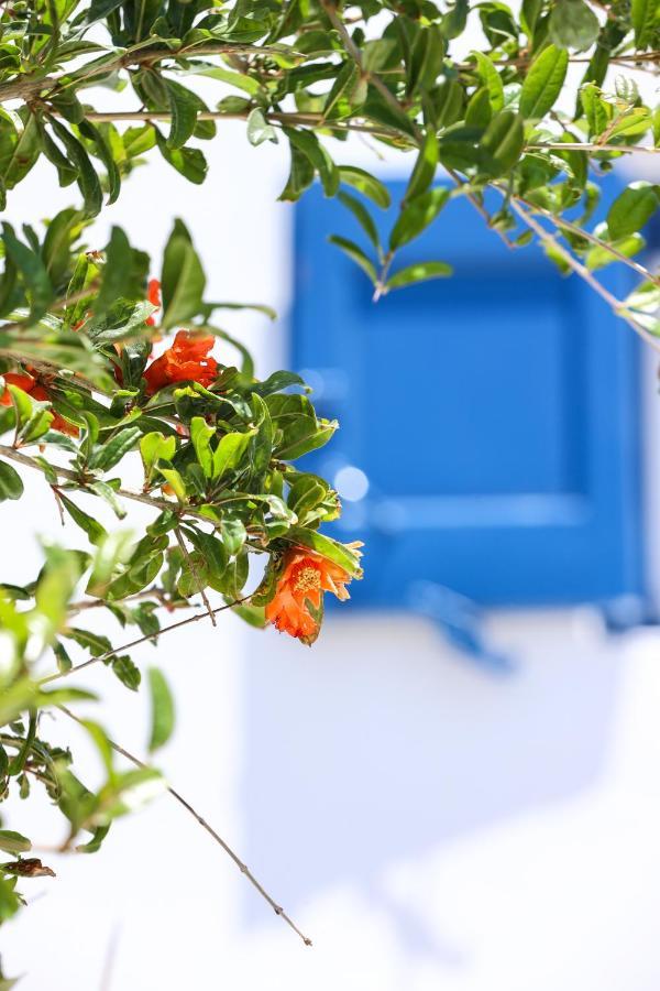 Mykonos In White Villa Mykonos Town Kültér fotó